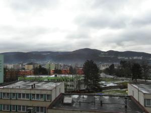 Prodej bytu 4+1, Ústí nad Labem - Krásné Březno, Přemyslovců, 80 m2