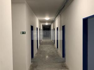 Pronájem skladu, Dobříč, 13 m2