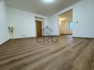 Prodej bytu 5+kk, Moravany, 171 m2