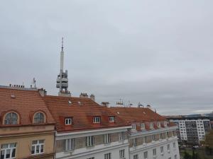 Pronájem bytu 2+kk, Praha - Žižkov, Radhošťská, 47 m2