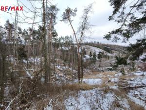 Prodej lesa, Číměř, 1493 m2