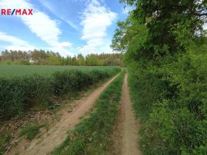 Prodej lesa, Číměř, 1493 m2