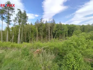 Prodej lesa, Číměř, 17681 m2