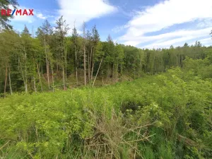 Prodej lesa, Číměř, 17681 m2