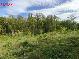 Prodej lesa, Číměř, 17681 m2