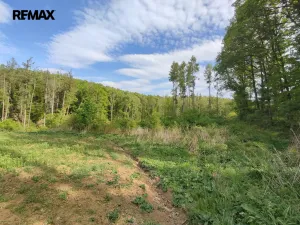 Prodej lesa, Číměř, 17681 m2