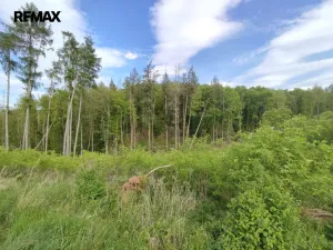 Prodej lesa, Číměř, 17681 m2