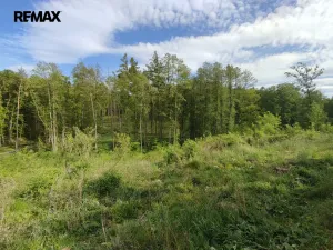 Prodej lesa, Číměř, 17681 m2