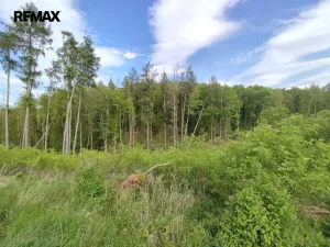 Prodej lesa, Číměř, 17681 m2