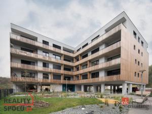 Pronájem bytu 1+kk, Plzeň - Východní Předměstí, Kartónová, 30 m2