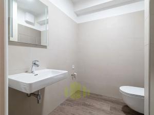 Pronájem bytu 1+kk, Olomouc, Wittgensteinova, 34 m2