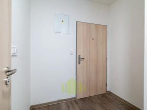 Pronájem bytu 1+kk, Olomouc, Wittgensteinova, 34 m2