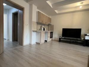 Pronájem bytu 1+kk, Ostrava - Martinov, Kamenná, 31 m2