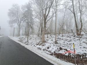 Prodej pozemku pro bydlení, Budišov nad Budišovkou - Guntramovice, 5279 m2