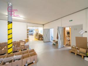 Prodej komerční nemovitosti, Těmice, 2178 m2