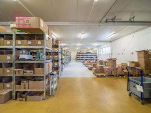 Prodej komerční nemovitosti, Těmice, 2178 m2