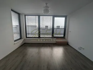 Pronájem bytu 2+kk, Hodonín, 55 m2