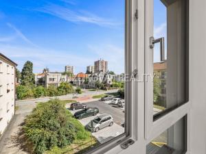 Prodej bytu 1+kk, České Budějovice, Hálkova, 24 m2