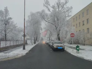 Prodej bytu 2+1, Kolín, V Břízách, 57 m2