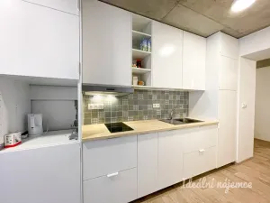 Pronájem bytu 1+kk, Brno - Líšeň, Šimáčkova, 33 m2