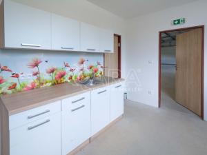 Pronájem skladu, Mělník, Plavební, 250 m2