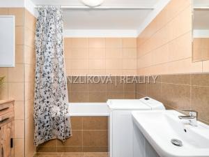 Prodej bytu 1+kk, České Budějovice - České Budějovice 2, 42 m2