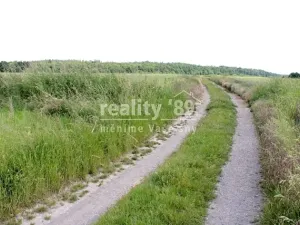 Prodej pozemku pro bydlení, Zahořany, 3573 m2