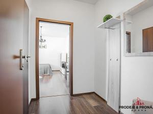 Prodej bytu 1+kk, Praha - Vysočany, Freyova, 22 m2