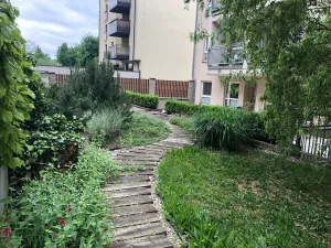 Pronájem bytu 2+kk, Plzeň, Na Jíkalce, 41 m2