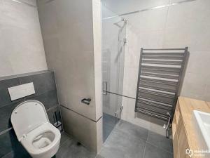 Pronájem bytu 2+kk, Olomouc, Ostrovní, 68 m2