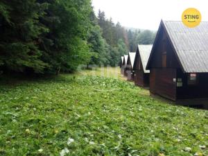 Prodej chaty, Česká Ves, 500 m2