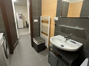 Pronájem bytu 2+kk, Plzeň, Poděbradova, 58 m2