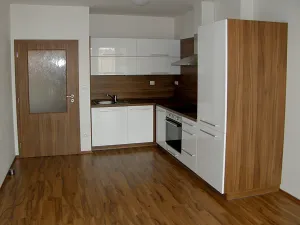 Pronájem bytu 2+kk, Plzeň, Těšínská, 46 m2