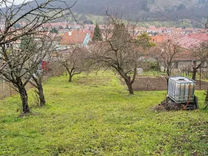 Prodej rodinného domu, Mikulov, Na Jámě, 200 m2