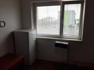 Pronájem bytu 1+kk, Prostějov, Dr. Horáka, 30 m2