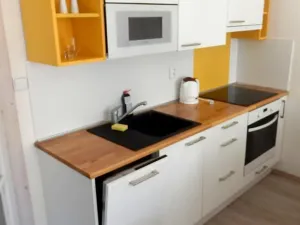 Pronájem bytu 2+kk, Praha - Vršovice, Holandská, 43 m2