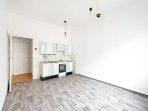 Pronájem bytu 2+kk, Praha - Bubeneč, Zelená, 44 m2