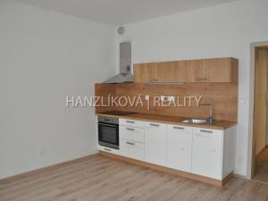 Pronájem bytu 1+kk, České Budějovice - České Budějovice 2, Volejbalistů, 28 m2