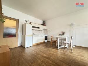 Pronájem bytu 1+kk, České Budějovice - České Budějovice 3, Skuherského, 30 m2