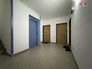 Pronájem bytu 1+kk, České Budějovice - České Budějovice 3, Skuherského, 30 m2