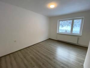 Pronájem bytu 1+1, Město Albrechtice, 37 m2