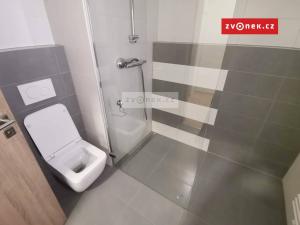 Pronájem bytu 1+kk, Zlín - Malenovice, třída Svobody, 37 m2