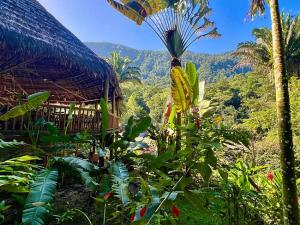 Prodej rodinného domu, La Ceiba, Honduras, 4080 m2