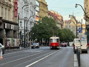 Pronájem obchodního prostoru, Praha - Nové Město, Národní, 115 m2