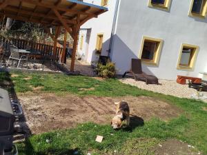 Prodej rodinného domu, Pacov, Pošenská, 120 m2