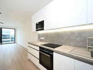 Pronájem bytu 2+kk, Praha - Žižkov, Šrámkové, 74 m2