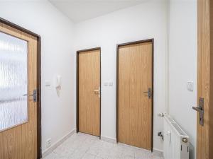 Pronájem bytu 1+kk, Štěnovice, Skalní, 40 m2