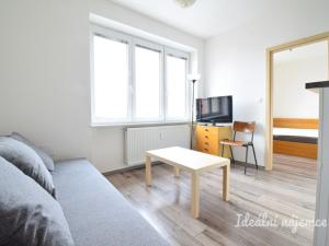 Pronájem bytu 2+kk, Brno, Renneská třída, 39 m2