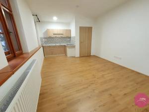 Pronájem bytu 1+kk, Olomouc, Uhelná, 30 m2