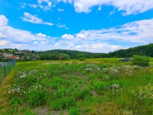 Prodej pozemku pro bydlení, Ruprechtov, 755 m2